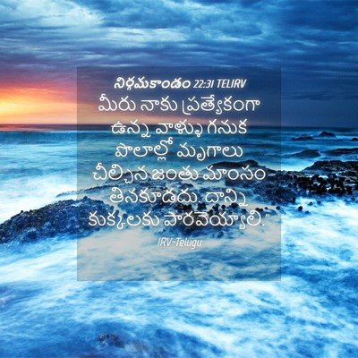 Picture 04 - నిర్గమకాండం 22:31 TELIRV - మీరు నాకు - Bible Verse Picture