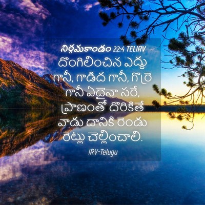 Picture 04 - నిర్గమకాండం 22:4 TELIRV - దొంగిలించిన ఎద్దు - Bible Verse Picture