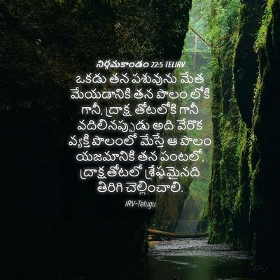 Picture 04 - నిర్గమకాండం 22:5 TELIRV - ఒకడు తన పశువును - Bible Verse Picture