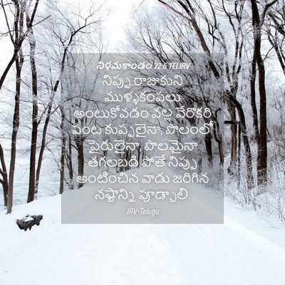 Picture 04 - నిర్గమకాండం 22:6 TELIRV - నిప్పు రాజుకుని - Bible Verse Picture