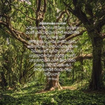 Picture 04 - నిర్గమకాండం 22:9 TELIRV - ఎద్దులు, గాడిదలు, - Bible Verse Picture