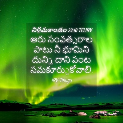 Picture 04 - నిర్గమకాండం 23:10 TELIRV - ఆరు సంవత్సరాల - Bible Verse Picture