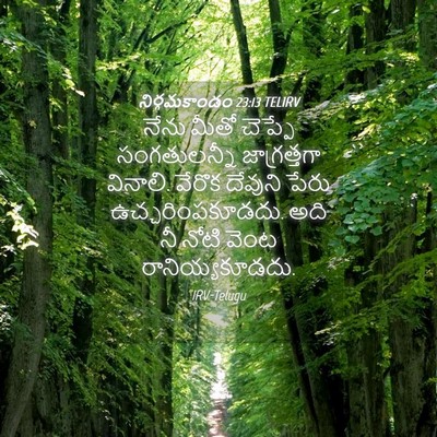 Picture 04 - నిర్గమకాండం 23:13 TELIRV - నేను మీతో చెప్పే - Bible Verse Picture