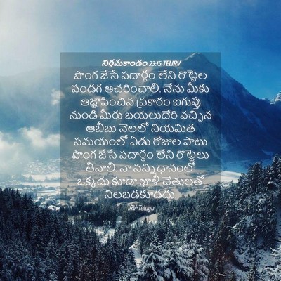 Picture 04 - నిర్గమకాండం 23:15 TELIRV - పొంగ జేసే పదార్థం - Bible Verse Picture