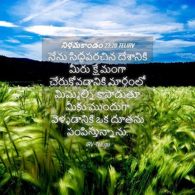 Picture 04 - నిర్గమకాండం 23:20 TELIRV - నేను సిద్ధపరచిన - Bible Verse Picture