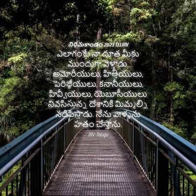 Picture 04 - నిర్గమకాండం 23:23 TELIRV - ఎలాగంటే నా దూత - Bible Verse Picture