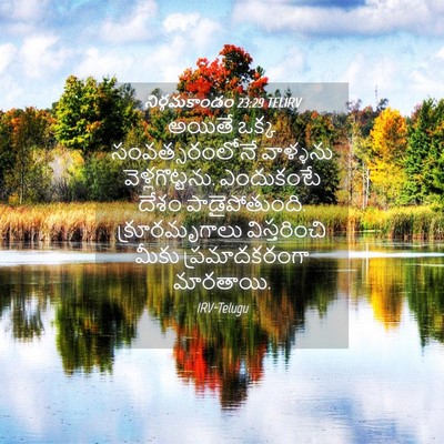 Picture 04 - నిర్గమకాండం 23:29 TELIRV - అయితే ఒక్క - Bible Verse Picture
