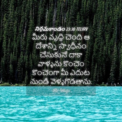 Picture 04 - నిర్గమకాండం 23:30 TELIRV - మీరు వృద్ధి చెంది - Bible Verse Picture