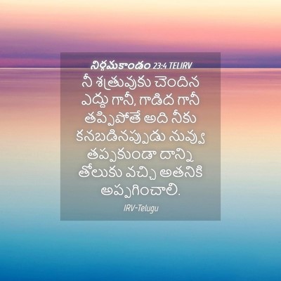 Picture 04 - నిర్గమకాండం 23:4 TELIRV - నీ శత్రువుకు - Bible Verse Picture
