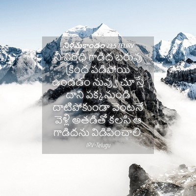 Picture 04 - నిర్గమకాండం 23:5 TELIRV - నీ విరోధి గాడిద - Bible Verse Picture