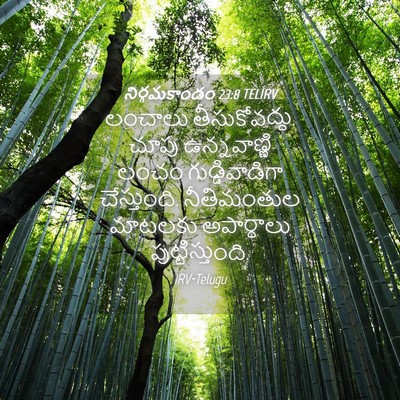 Picture 04 - నిర్గమకాండం 23:8 TELIRV - లంచాలు - Bible Verse Picture