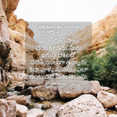 Picture 04 - నిర్గమకాండం 23:9 TELIRV - విదేశీయులను - Bible Verse Picture