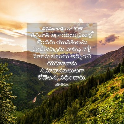 Picture 04 - నిర్గమకాండం 24:5 TELIRV - తరవాత ఇశ్రాయేలు - Bible Verse Picture