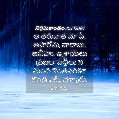 Picture 04 - నిర్గమకాండం 24:9 TELIRV - ఆ తరువాత మోషే, - Bible Verse Picture