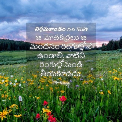 Picture 04 - నిర్గమకాండం 25:15 TELIRV - ఆ మోతకర్రలు ఆ - Bible Verse Picture