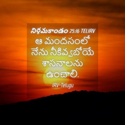 Picture 04 - నిర్గమకాండం 25:16 TELIRV - ఆ మందసంలో నేను - Bible Verse Picture