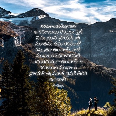 Picture 04 - నిర్గమకాండం 25:20 TELIRV - ఆ కెరూబులు - Bible Verse Picture