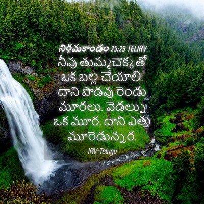 Picture 04 - నిర్గమకాండం 25:23 TELIRV - నీవు తుమ్మచెక్కతో - Bible Verse Picture