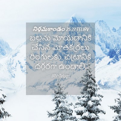 Picture 04 - నిర్గమకాండం 25:27 TELIRV - బల్లను మోయడానికి - Bible Verse Picture