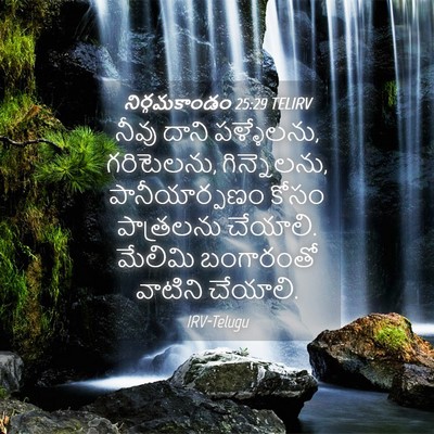 Picture 04 - నిర్గమకాండం 25:29 TELIRV - నీవు దాని - Bible Verse Picture