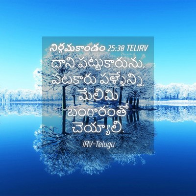 Picture 04 - నిర్గమకాండం 25:38 TELIRV - దాని పట్టుకారును, - Bible Verse Picture