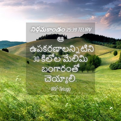 Picture 04 - నిర్గమకాండం 25:39 TELIRV - ఆ ఉపకరణాలన్నిటిని - Bible Verse Picture