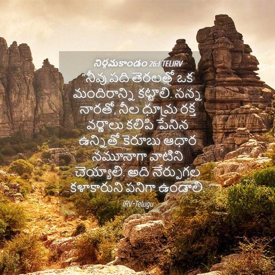 Picture 04 - నిర్గమకాండం 26:1 TELIRV - “నీవు పది తెరలతో - Bible Verse Picture