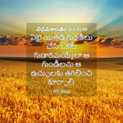 Picture 04 - నిర్గమకాండం 26:11 TELIRV - ఏభై యిత్తడి - Bible Verse Picture