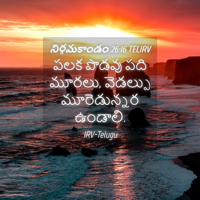 Picture 04 - నిర్గమకాండం 26:16 TELIRV - పలక పొడవు పది - Bible Verse Picture
