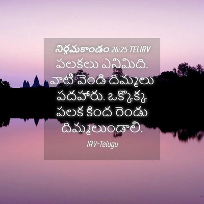 Picture 04 - నిర్గమకాండం 26:25 TELIRV - పలకలు ఎనిమిది. - Bible Verse Picture