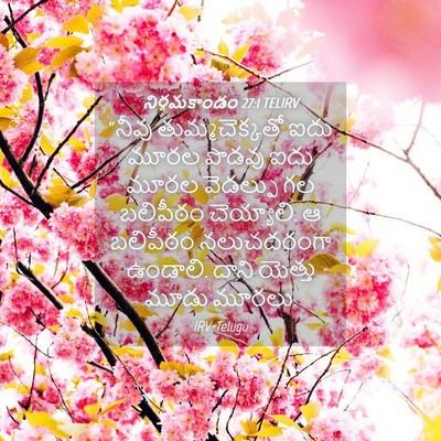 Picture 04 - నిర్గమకాండం 27:1 TELIRV - “నీవు - Bible Verse Picture