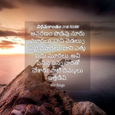 Picture 04 - నిర్గమకాండం 27:18 TELIRV - ఆవరణం పొడవు నూరు - Bible Verse Picture