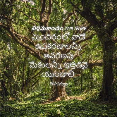 Picture 04 - నిర్గమకాండం 27:19 TELIRV - మందిరంలో వాడే - Bible Verse Picture