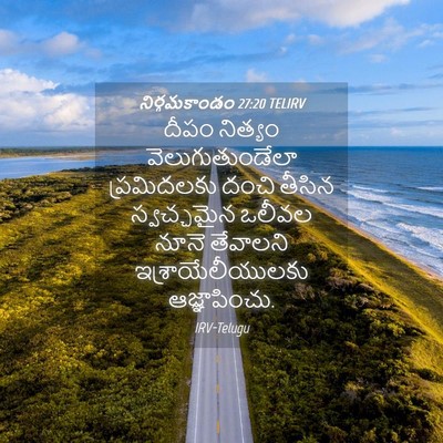 Picture 04 - నిర్గమకాండం 27:20 TELIRV - దీపం నిత్యం - Bible Verse Picture