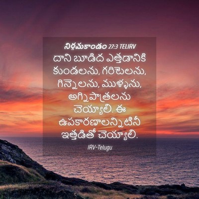 Picture 04 - నిర్గమకాండం 27:3 TELIRV - దాని బూడిద - Bible Verse Picture
