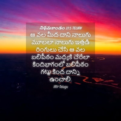 Picture 04 - నిర్గమకాండం 27:5 TELIRV - ఆ వల మీద దాని - Bible Verse Picture