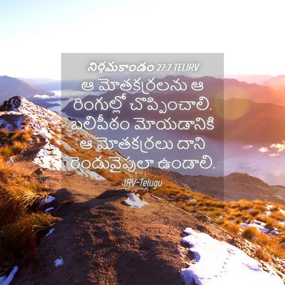Picture 04 - నిర్గమకాండం 27:7 TELIRV - ఆ మోతకర్రలను ఆ - Bible Verse Picture
