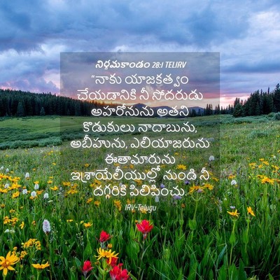 Picture 04 - నిర్గమకాండం 28:1 TELIRV - “నాకు యాజకత్వం - Bible Verse Picture
