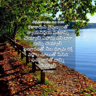Picture 04 - నిర్గమకాండం 28:15 TELIRV - కళాకారుని - Bible Verse Picture