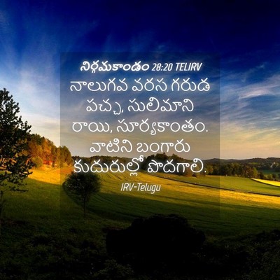 Picture 04 - నిర్గమకాండం 28:20 TELIRV - నాలుగవ వరస గరుడ - Bible Verse Picture