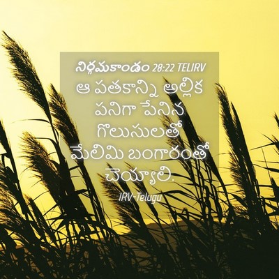 Picture 04 - నిర్గమకాండం 28:22 TELIRV - ఆ పతకాన్ని అల్లిక - Bible Verse Picture