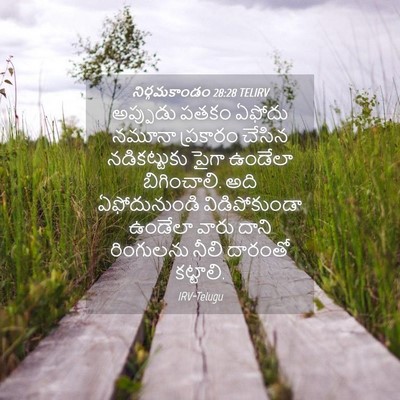 Picture 04 - నిర్గమకాండం 28:28 TELIRV - అప్పుడు పతకం - Bible Verse Picture