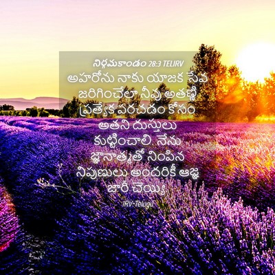 Picture 04 - నిర్గమకాండం 28:3 TELIRV - అహరోను నాకు యాజక - Bible Verse Picture