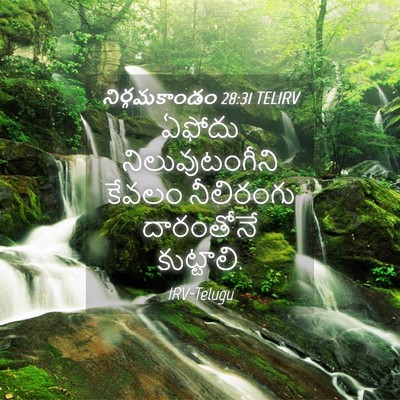 Picture 04 - నిర్గమకాండం 28:31 TELIRV - ఏఫోదు - Bible Verse Picture