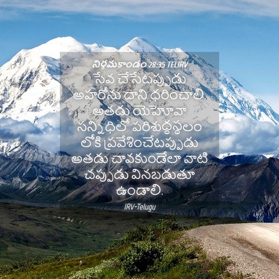 Picture 04 - నిర్గమకాండం 28:35 TELIRV - సేవ చేసేటప్పుడు - Bible Verse Picture