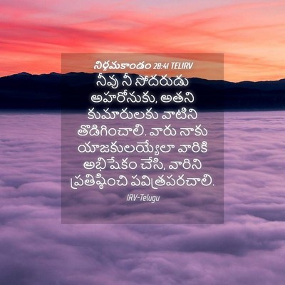 Picture 04 - నిర్గమకాండం 28:41 TELIRV - నీవు నీ సోదరుడు - Bible Verse Picture