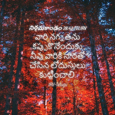 Picture 04 - నిర్గమకాండం 28:42 TELIRV - వారి నగ్నతను - Bible Verse Picture