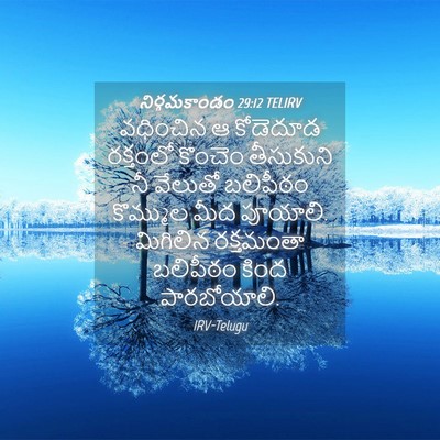 Picture 04 - నిర్గమకాండం 29:12 TELIRV - వధించిన ఆ కోడెదూడ - Bible Verse Picture