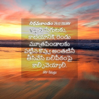 Picture 04 - నిర్గమకాండం 29:13 TELIRV - దాని పేగులకు, - Bible Verse Picture