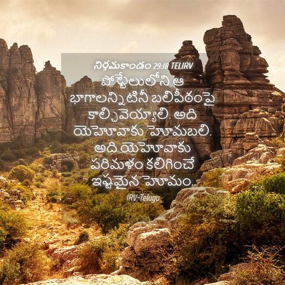Picture 04 - నిర్గమకాండం 29:18 TELIRV - పోట్టేలులోని ఆ - Bible Verse Picture